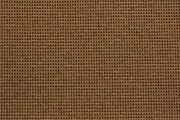 International Cotton Poplin thumbnail 2